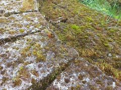 BSSOG Weiz: BSSOG Weiz (© Architekt DI Peter Polding)