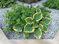 BSSOG Weiz: BSSOG Weiz (© Architekt DI Peter Polding)