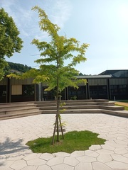 BSSOG Weiz: BSSOG Weiz (© Arch DI Peter Poldinbg)