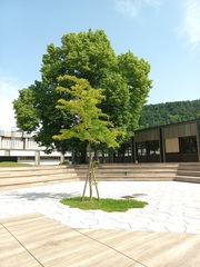 BSSOG Weiz: BSSOG Weiz (© Arch DI Peter Poldinbg)