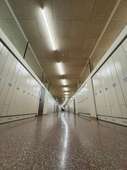 BORG Dreierschützengasse: BORG Dreierschützengasse (&copy; Arch DI Peter Polding)