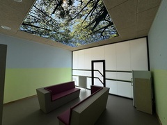 BORG Dreierschützengasse: BORG Dreierschützengasse (&copy; Arch DI Peter Polding)